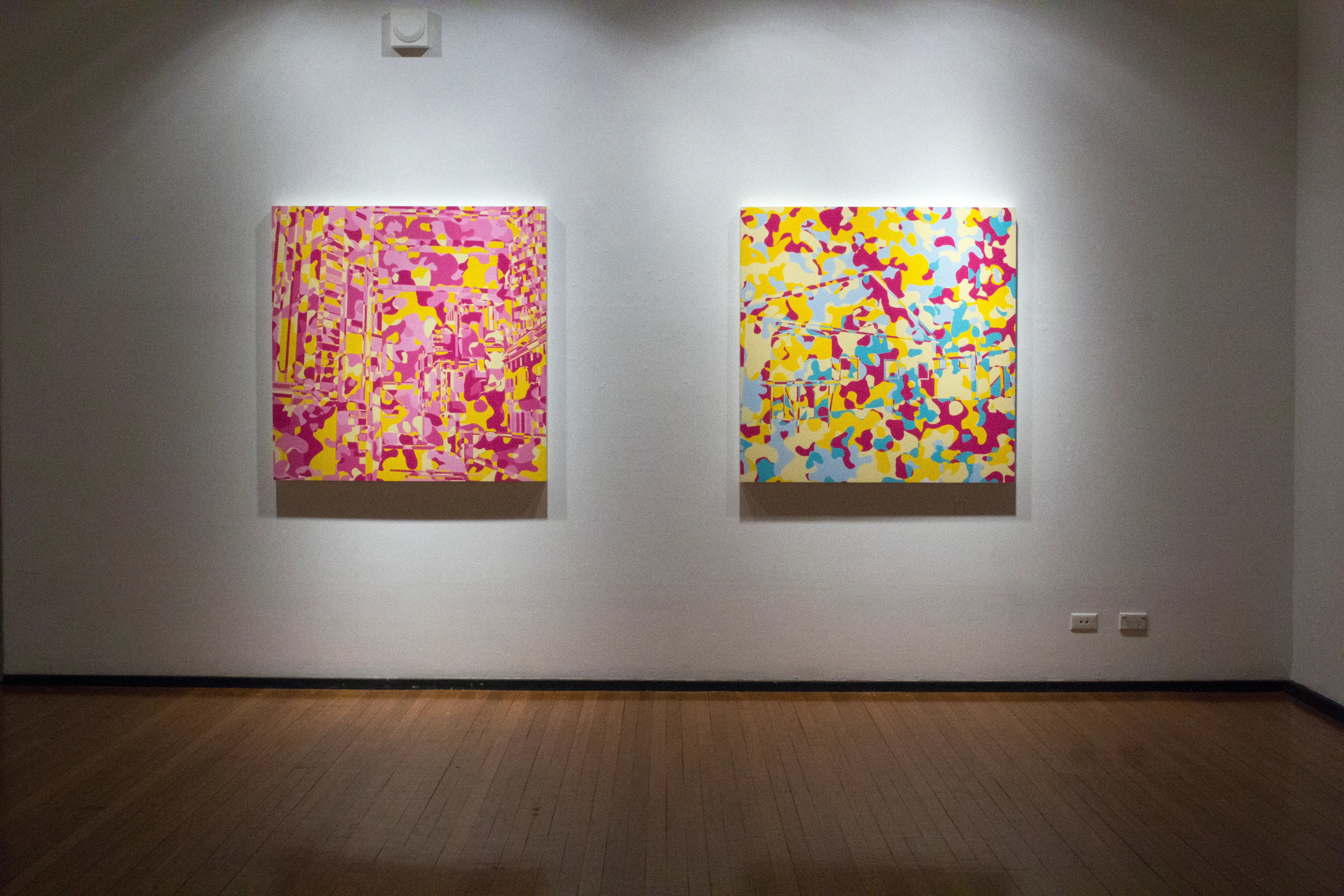 Exhibition view from the Camofloz series