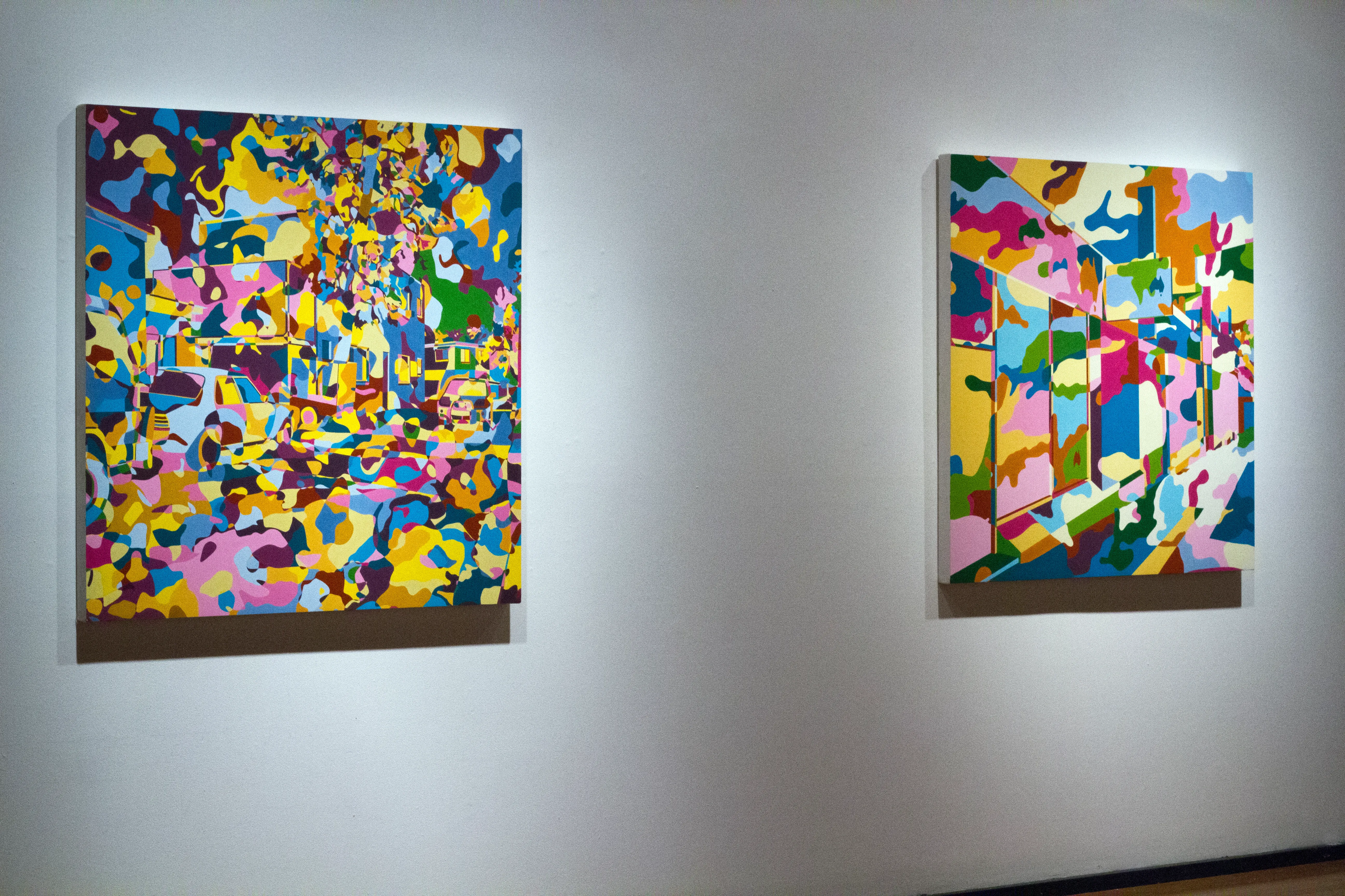 Exhibition view from the Camofloz series