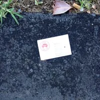Community-submitted oz spotting from the spottin'oz project