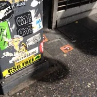 Community-submitted oz spotting from the spottin'oz project