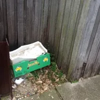 Community-submitted oz spotting from the spottin'oz project