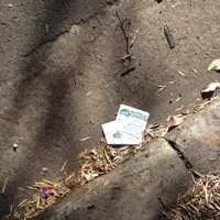 Community-submitted oz spotting from the spottin'oz project